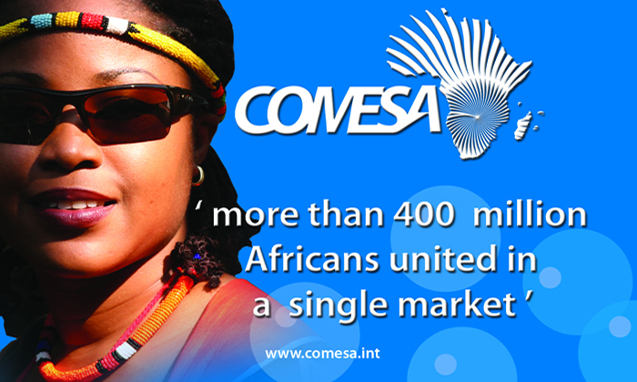 Comesa 'business visa' nears implementation