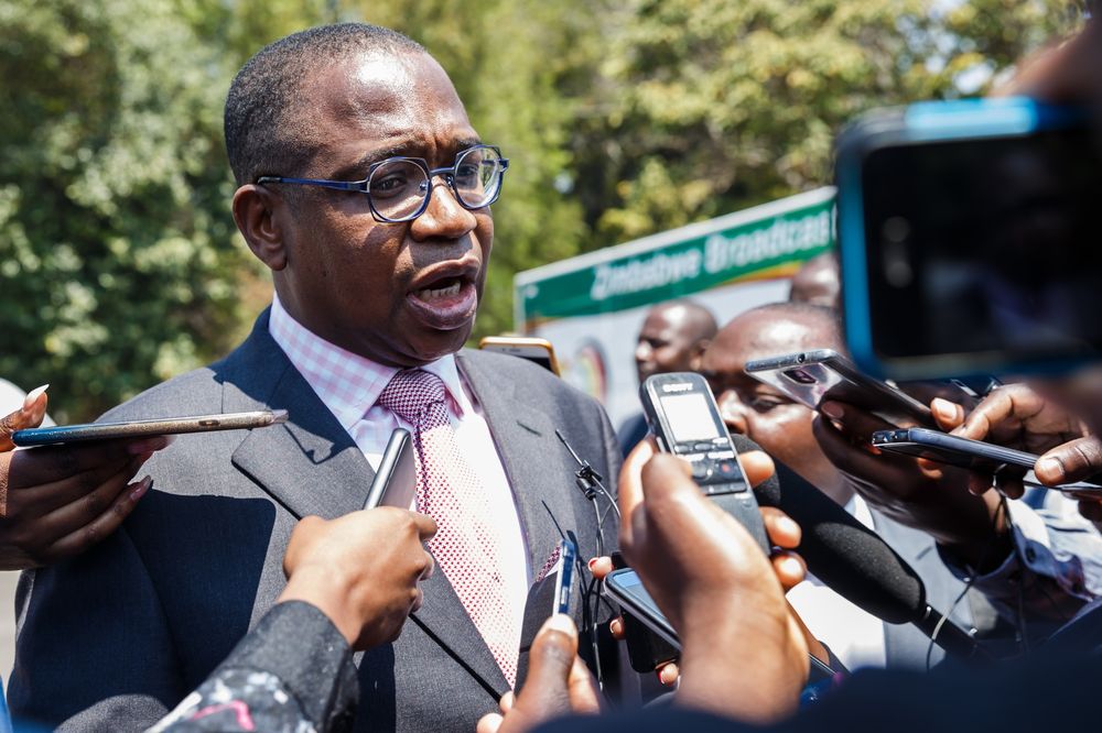 Mthuli Ncube promises to reduce tax burden
